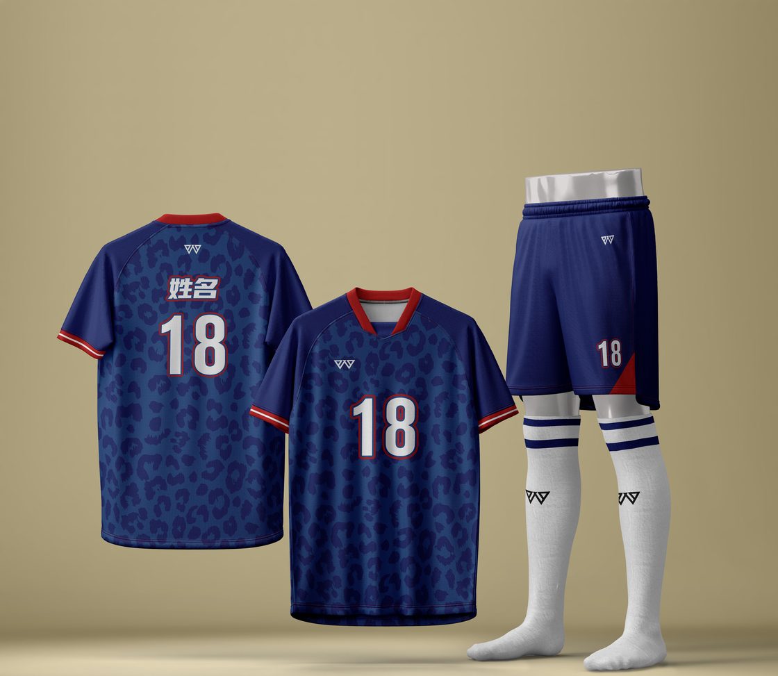 ZQ-CJDL-002 custom soccer reference style — made to order by BACHI SPORTS